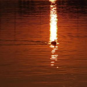 鲁鲁美女裸体艺术照
