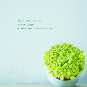 鲁鲁美女裸体艺术照
